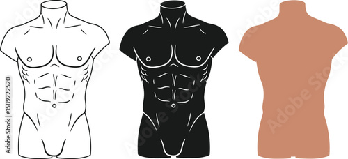 Three stylized male torsos showcase muscular anatomy in line art, silhouette, and color variations, ideal for fitness, health, or anatomical study resources and design projects.
