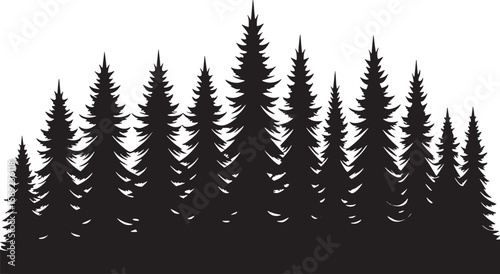 Dark forest silhouette evergreen trees nature pine trees