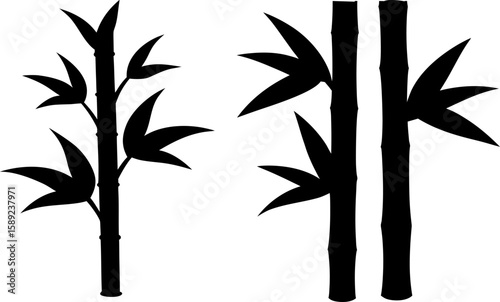 Bamboo vector art, bamboo tree art, bamboo tree vector art design, Vector of modern bamboo leaves art, bamboo isolated