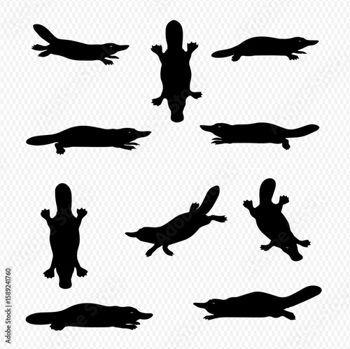 Collection of platypus silhouettes in various poses, including swimming, lying down, and viewed from above.