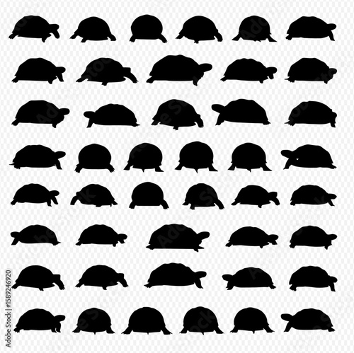 A grid of thirty-six black turtle silhouettes in various poses and orientations against a transparent background.