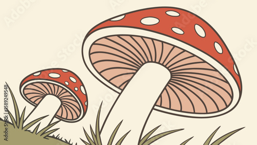 Two red toadstool mushrooms with white spots growing in grass on a light background illustration