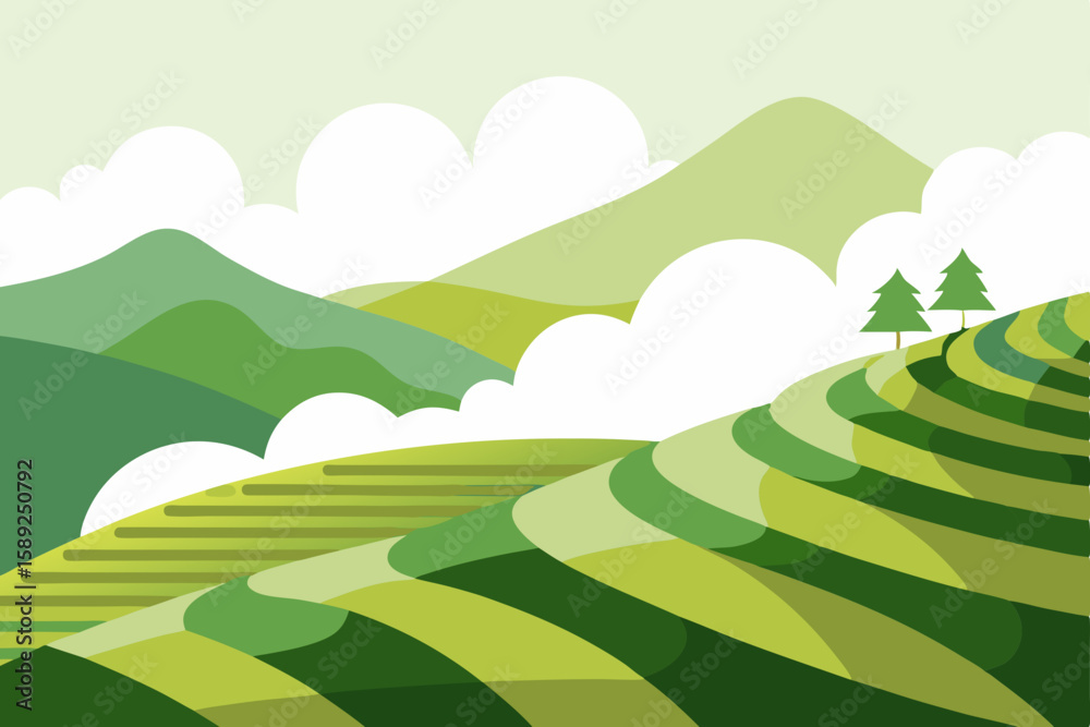 Fototapeta premium hillside tea plantation with terraced rows 