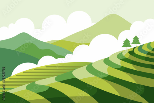 hillside tea plantation with terraced rows 