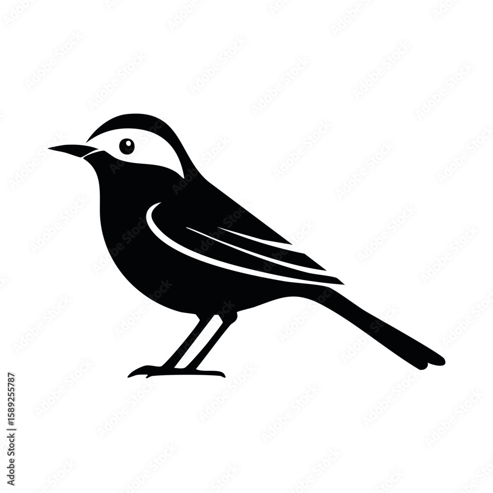 Obraz premium Wagtail Black Glyph Icon