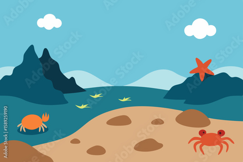 rocky tidepools at low tide filled with crabs  