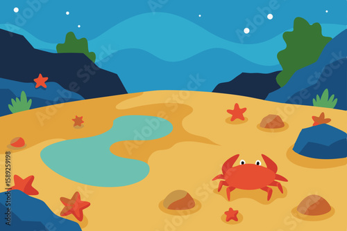 rocky tidepools at low tide filled with crabs  