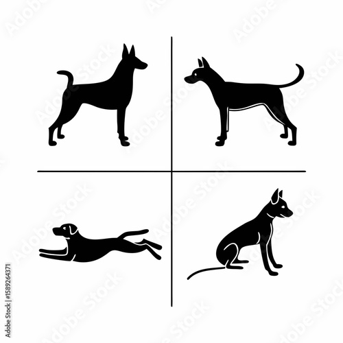 Four black dog silhouettes in different poses on white background vector