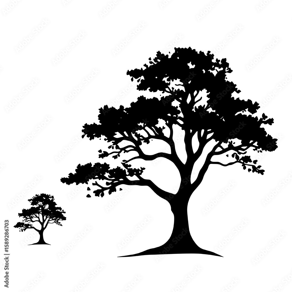 Obraz premium tall tree silhouette with small tree isolated on white background