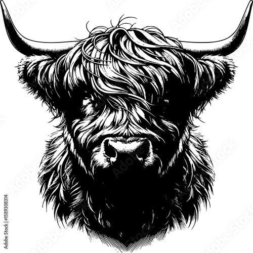 Highland cattle, strong and stoic, with a textured long hair coat, and majestic curved horns, stare into the viewer with a penetrating gaze, capturing the essence of rural life.