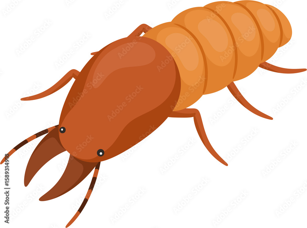Obraz premium illustration termite