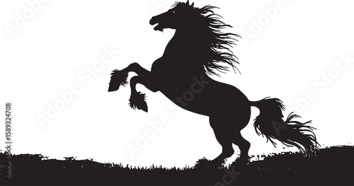 Rearing Horse Silhouette  Wild Spirit Strength and Freedom
