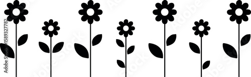 A Symphony of Summer Colors:Black  Blooming Garden Flowers Captured on a Serene White Background