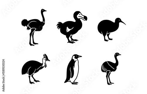 Various flightless birds silhouettes in a flat, minimal design, representing different species of the avian family. This collection showcases a diversity of bird forms in a stylized and artistic way.