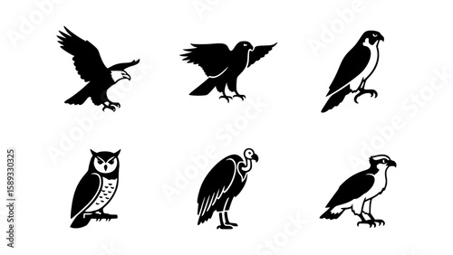 Vector illustration of six birds of prey in black and white, isolated in an arrangement on pure white background