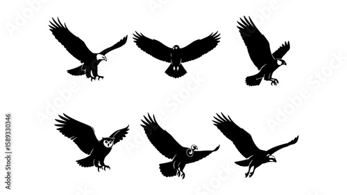 Black vector icon sheet of various birds of prey in flight. wings outstretched