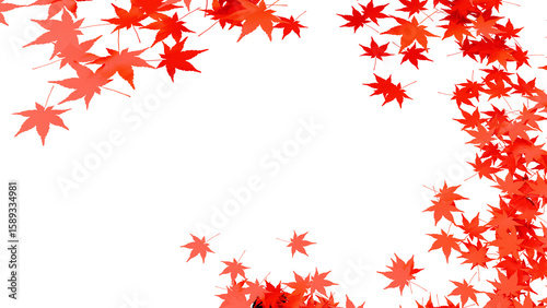 秋の紅葉の乱舞：背景透過