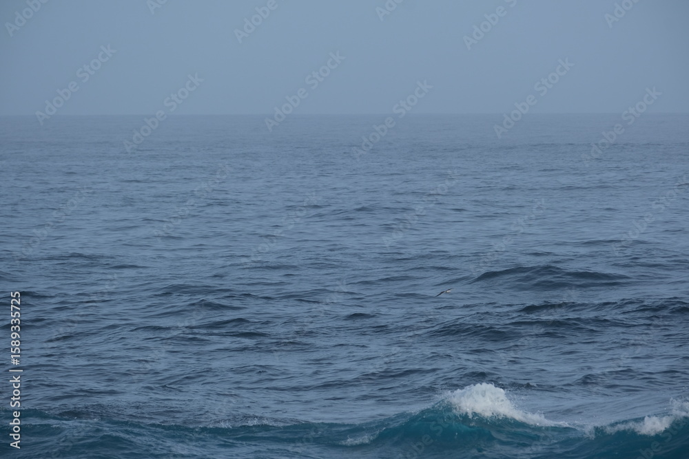 Fototapeta premium Breathtaking View of Tsitsikamma National Park's Indian Ocean Coastline