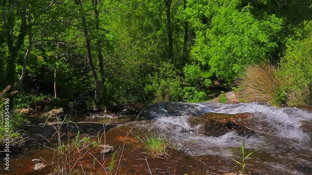 A 20-second still video of the Alzeau River waterfall in Saint Denis, Aude. A waterfall set amidst rocks in the south of France.
