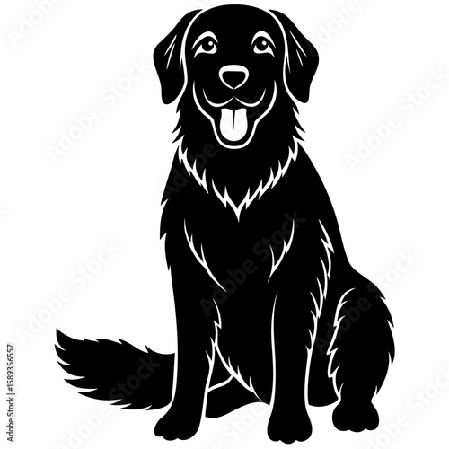 black labrador retriever puppy