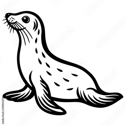 sea lion vector illustration
