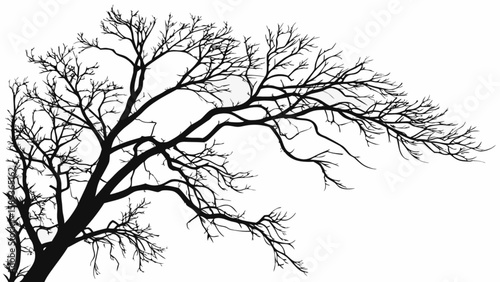 Silhouette tree branch vector image for design and decoration, winter tree branches black and white art