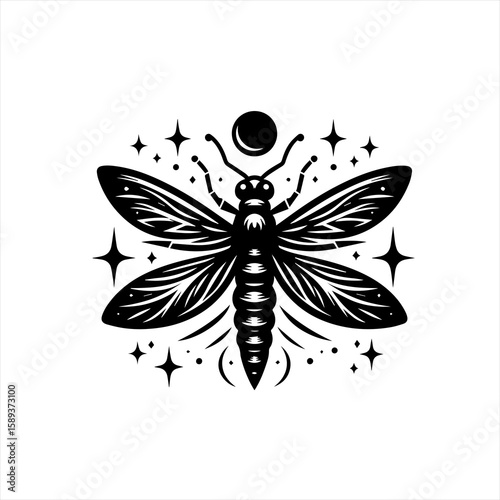 A dragonfly isolated on white