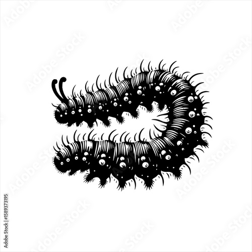 Caterpillar isolated on white background