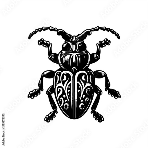 Ornate beetle isolated on white background