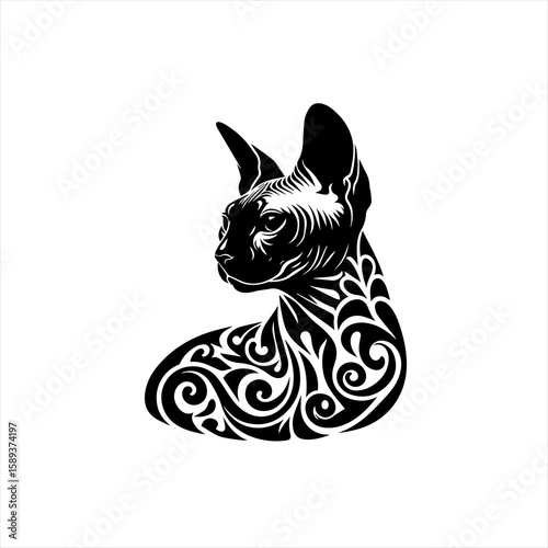 A sphynx cat isolated on white
