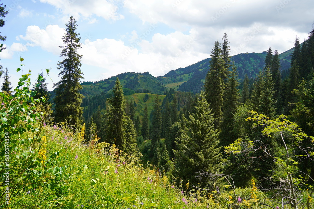Fototapeta premium Ile-Alatau National Park. Mountainous area with different vegetation near Almaty. The Tian Shan Mountains.