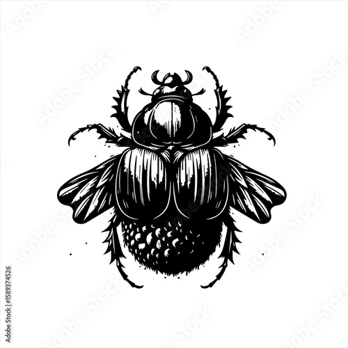 Beetle with its wings out