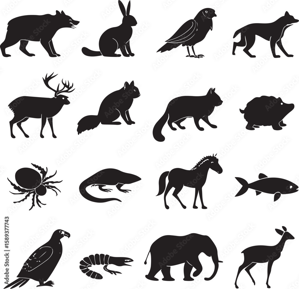 Fototapeta premium animal silhouette vector, Bundle icons and white background