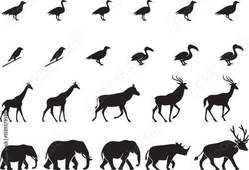 animal silhouette vector, Bundle icons and white background 