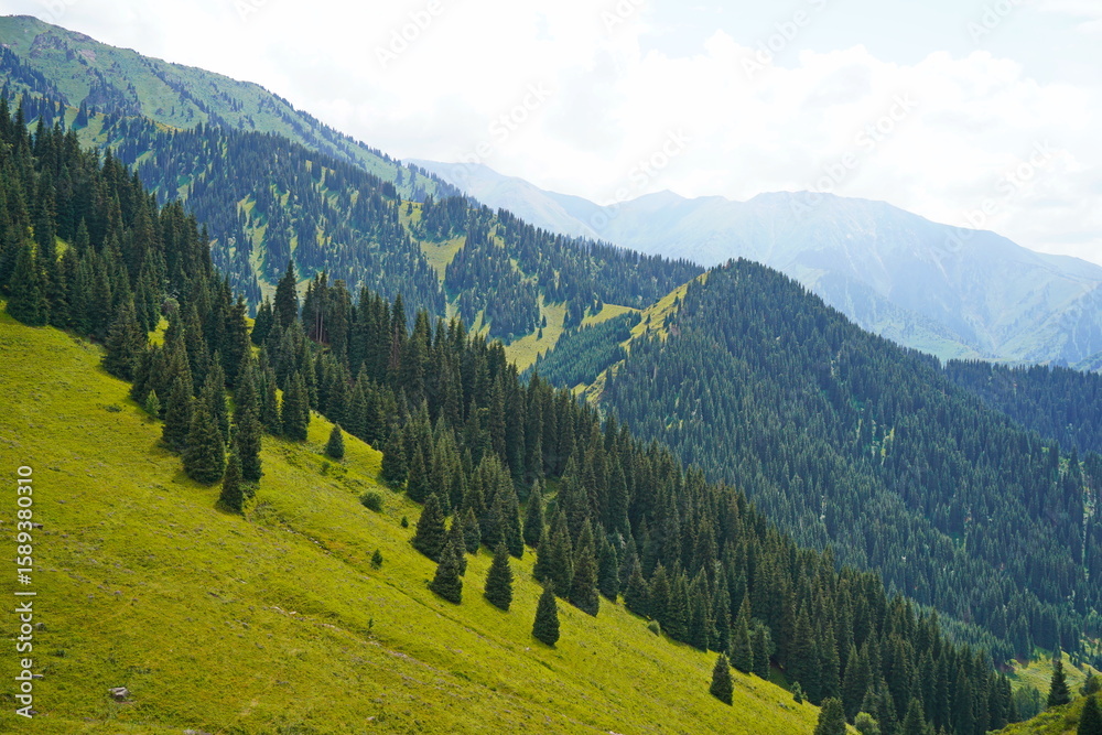 Fototapeta premium Ile-Alatau National Park. Mountainous area with different vegetation near Almaty. The Tian Shan Mountains.