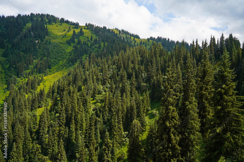 Obraz premium Ile-Alatau National Park. Mountainous area with different vegetation near Almaty. The Tian Shan Mountains.