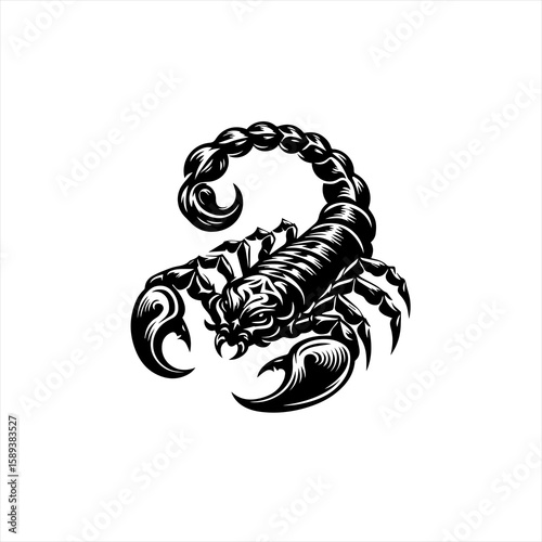 Scorpion isolated on white background