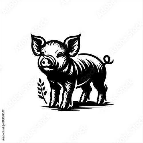 A cute pig isolated on white background