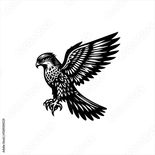 Falcon isolated on white background