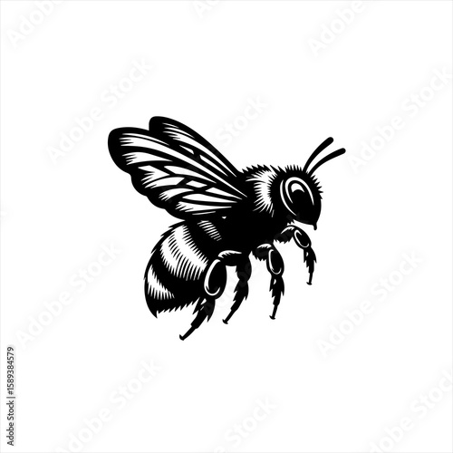 Bee isolated on white background