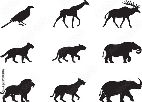 animal silhouette vector, Bundle icons and white background 