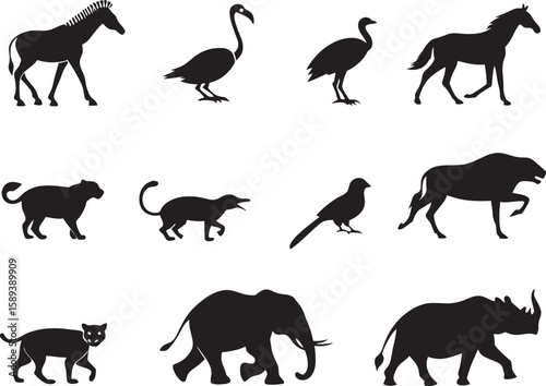 animal silhouette vector, Bundle icons and white background 