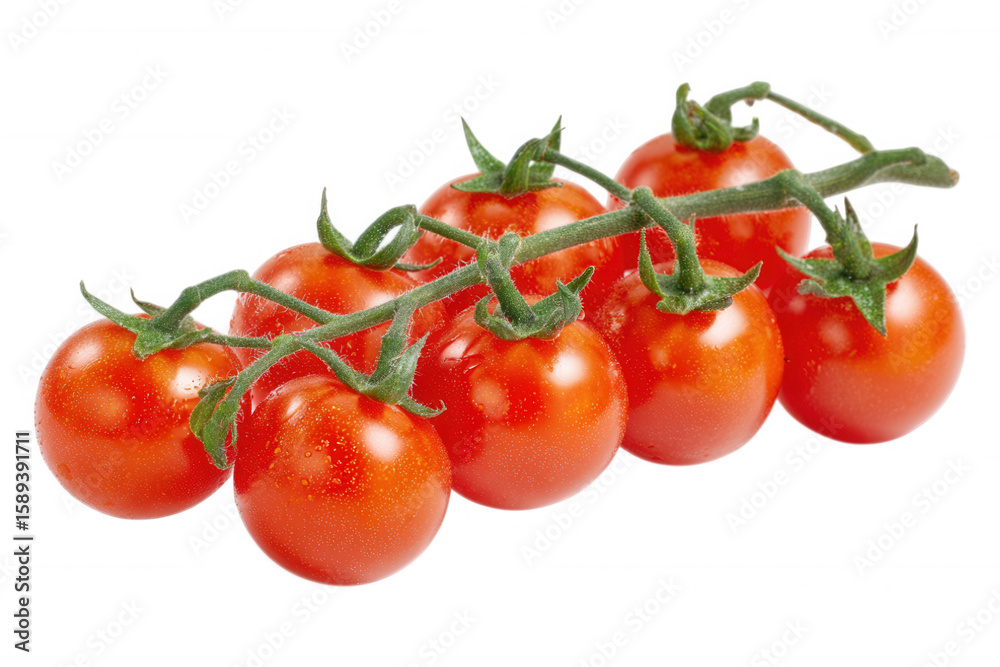 Fresh Cherry Tomatoes on Vine on Transparent Background Fresh Cherry Tomatoes on Vine on Transparent Background