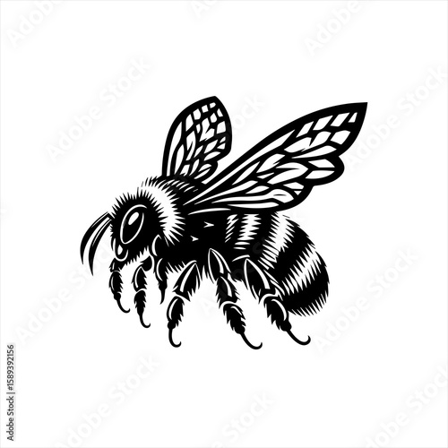 A detailed bee illustration isolated on white background