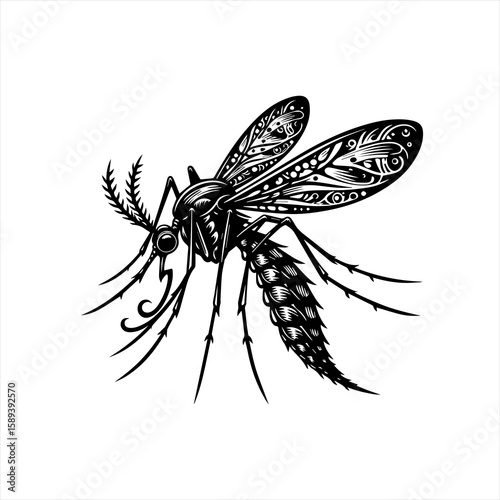A black and white drawing of a mosquito isolated on white background