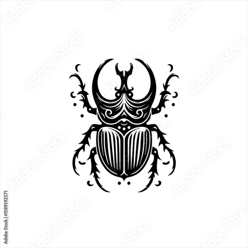 A detailed drawing of a beetle isolated on white background