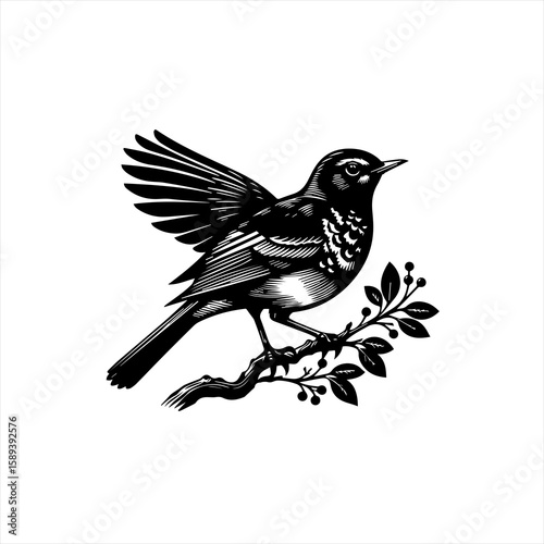 A vintage illustration of a bird perched on a branch isolated on white background