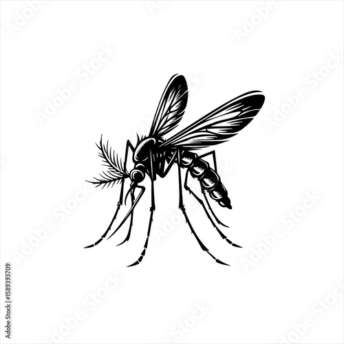 A black and white illustration of a mosquito isolated on white background