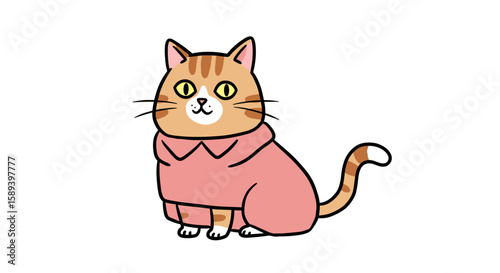 Cute cat wearing a pink sweater sitting calmly on a white background  