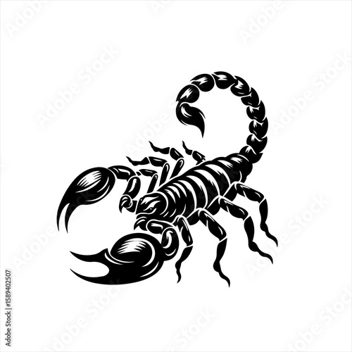 A black scorpion with its stinger curled up, isolated on white background